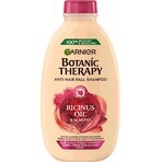 Garnier TERAPIA BOTÁNICA ACEITE DE RICINUS CHAMPÚ 1×250 ml, champú