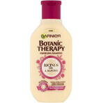 Garnier TERAPIA BOTÁNICA ACEITE DE RICINUS CHAMPÚ 1×250 ml, champú