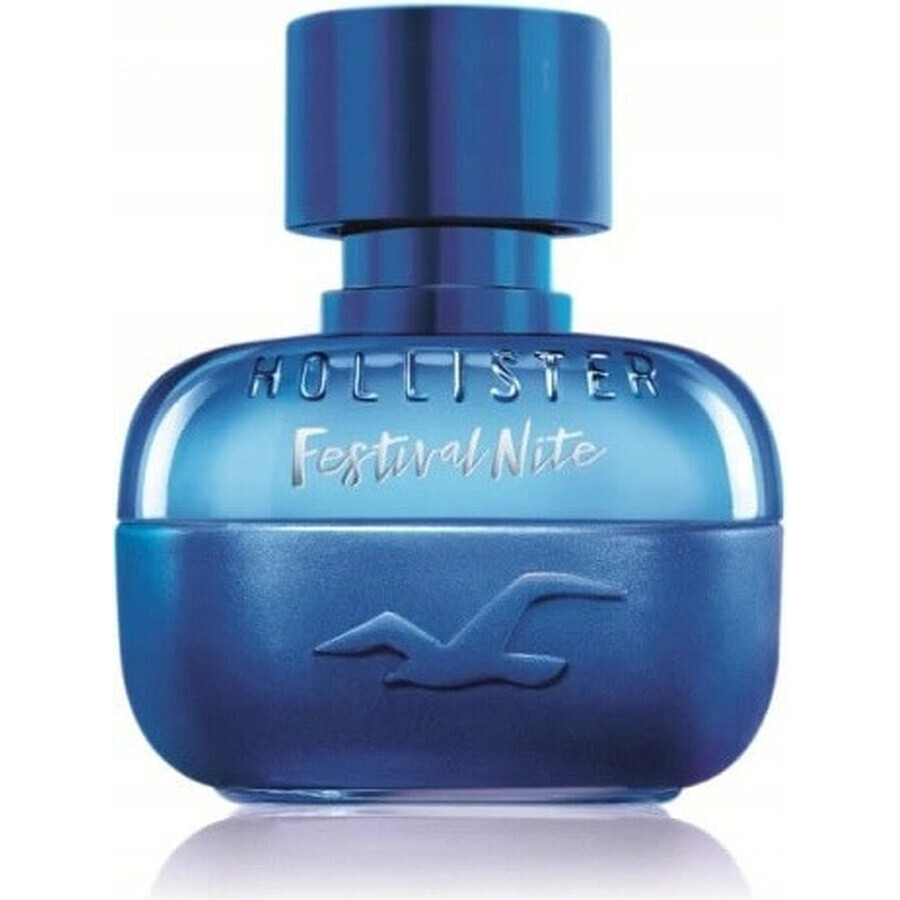 Hollister Festival Nite For Him Edt 100ml 1×100 ml, Eau de Toilette