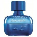 Hollister Festival Nite For Him Edt 100ml 1×100 ml, Eau de Toilette