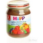 HiPP Integratore di frutta Mele con frutti di bosco 1×125 g, integratore di frutta per bambini