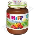 HiPP Integratore di frutta Mele con frutti di bosco 1×125 g, integratore di frutta per bambini