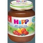 HiPP Integratore di frutta Mele con frutti di bosco 1×125 g, integratore di frutta per bambini