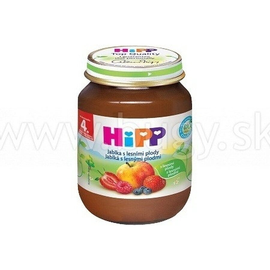 HiPP Integratore di frutta Mele con frutti di bosco 1×125 g, integratore di frutta per bambini