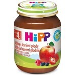 HiPP Integratore di frutta Mele con frutti di bosco 1×125 g, integratore di frutta per bambini