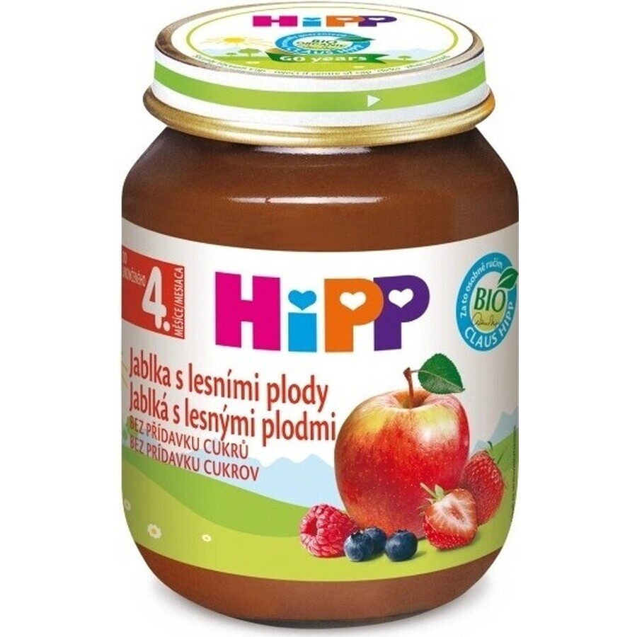 HiPP Integratore di frutta Mele con frutti di bosco 1×125 g, integratore di frutta per bambini