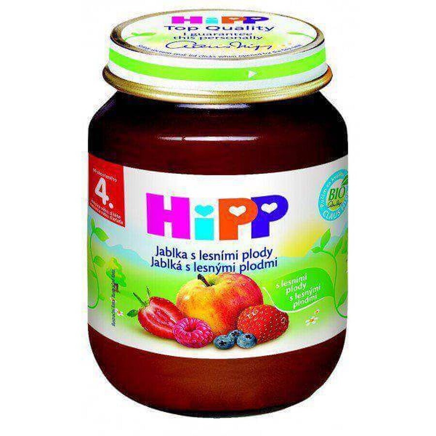 HiPP Integratore di frutta Mele con frutti di bosco 1×125 g, integratore di frutta per bambini