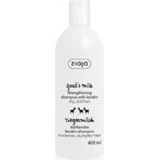 Ziaja - strengthening shampoo with keratin and goat milk protein 1×400 ml