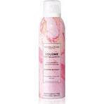 Revolution Haircare Volume Dry Shampoo 1×1 pz.