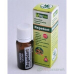 Ser REGEDENT 1×7 ml, natural, regenerative