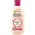 Garnier TERAPIA BOTÁNICA ACEITE DE RICINUS CHAMPÚ 1×450 ml, champú