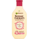 Garnier TERAPIA BOTÁNICA ACEITE DE RICINUS CHAMPÚ 1×450 ml, champú