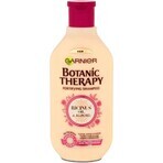 Garnier TERAPIA BOTÁNICA ACEITE DE RICINUS CHAMPÚ 1×450 ml, champú