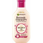 Garnier TERAPIA BOTÁNICA ACEITE DE RICINUS CHAMPÚ 1×450 ml, champú