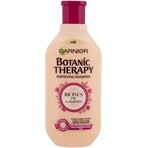 Garnier TERAPIA BOTÁNICA ACEITE DE RICINUS CHAMPÚ 1×450 ml, champú