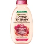 Garnier TERAPIA BOTÁNICA ACEITE DE RICINUS CHAMPÚ 1×450 ml, champú