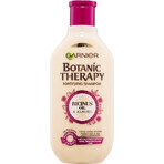 Garnier TERAPIA BOTÁNICA ACEITE DE RICINUS CHAMPÚ 1×450 ml, champú