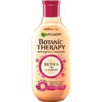 Garnier TERAPIA BOTÁNICA ACEITE DE RICINUS CHAMPÚ 1×450 ml, champú