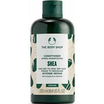 The Body Shop Conditioner für trockenes und sprödes Haar Shea Shea 1×250 ml, Spülung