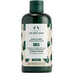 The Body Shop Conditioner für trockenes und sprödes Haar Shea Shea 1×250 ml, Spülung