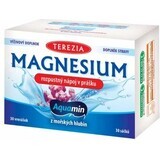 TEREZIA MAGNESIUM lösliches Getränkepulver 30×6 g, Nahrungsergänzungsmittel