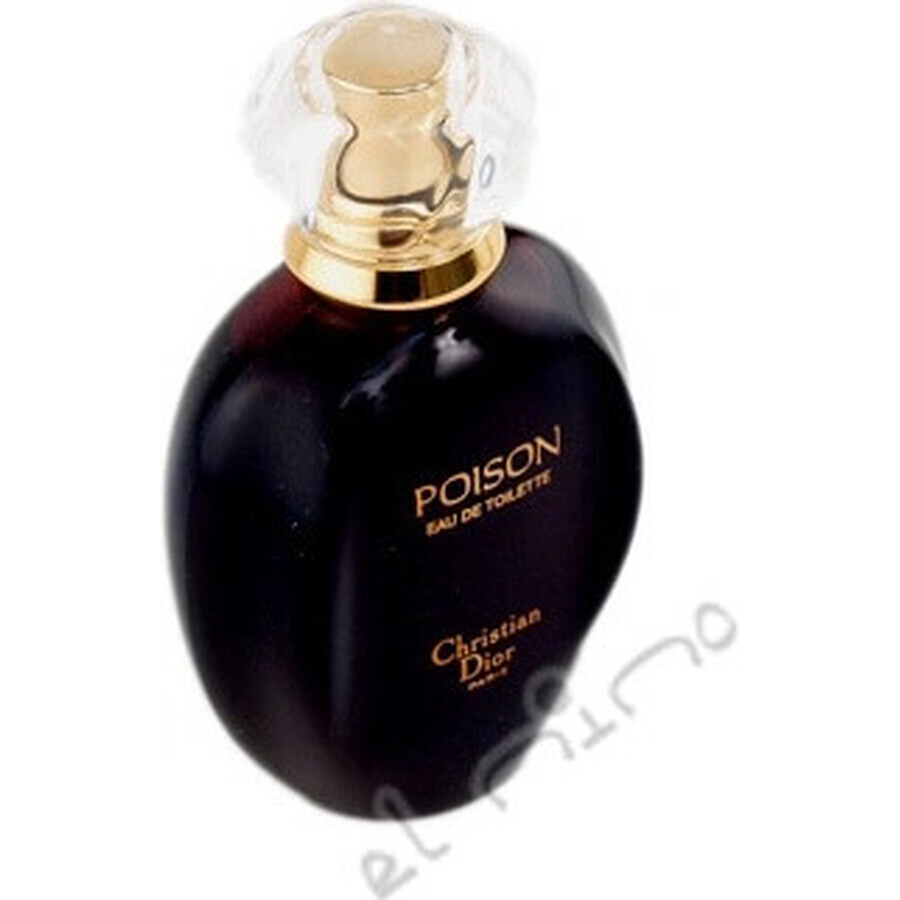 Dior Poison Edt 100ml 1×100 ml, Eau de Toilette