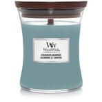 WoodWick Evergreen Evergreen Cashmere bougie moyenne 1×275 g, bougie parfumée