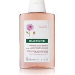 KLORANE SHAMPOOING à la pivoine biologique 1×200ml, shampooing pour cuir chevelu sensible et irrité