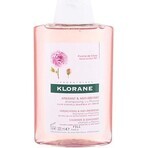 KLORANE SHAMPOOING à la pivoine biologique 1×200ml, shampooing pour cuir chevelu sensible et irrité