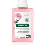 KLORANE SHAMPOOING à la pivoine biologique 1×200ml, shampooing pour cuir chevelu sensible et irrité