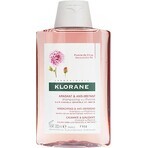 KLORANE SHAMPOOING à la pivoine biologique 1×200ml, shampooing pour cuir chevelu sensible et irrité