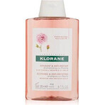 KLORANE SHAMPOOING à la pivoine biologique 1×200ml, shampooing pour cuir chevelu sensible et irrité