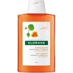 KLORANE SHAMPOOING à la pivoine biologique 1×200ml, shampooing pour cuir chevelu sensible et irrité