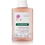 KLORANE SHAMPOOING à la pivoine biologique 1×200ml, shampooing pour cuir chevelu sensible et irrité