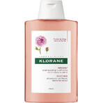 KLORANE SHAMPOOING à la pivoine biologique 1×200ml, shampooing pour cuir chevelu sensible et irrité