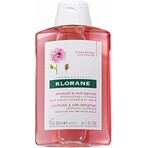 KLORANE SHAMPOOING à la pivoine biologique 1×200ml, shampooing pour cuir chevelu sensible et irrité