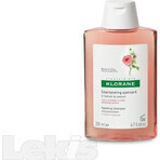 KLORANE SHAMPOOING à la pivoine biologique 1×200ml, shampooing pour cuir chevelu sensible et irrité