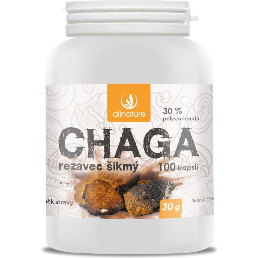 Allnature Chaga 1×100 cps, food supplement