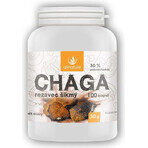 Allnature Chaga 1×100 cps, food supplement