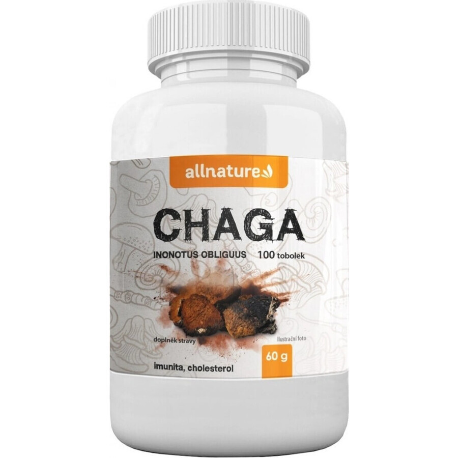 Allnature Chaga 1×100 cps, food supplement