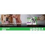 FRONTLINE COMBO spot-on spot-on pour CHIEN L 3 x 2.68 ml 3x2.68 ml 3x2.68 ml, solution pour chiens