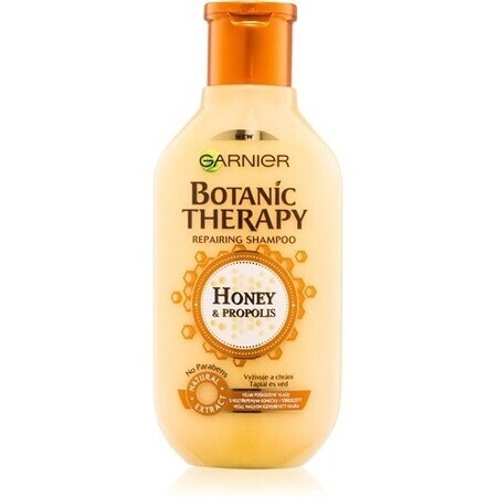 Garnier BOTANIC THERAPY HONEY SHAMPOO 1×250 ml, Shampoo