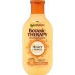 Garnier BOTANIC THERAPY HONEY SHAMPOO 1×250 ml, Shampoo