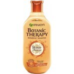 Garnier BOTANIC THERAPY HONEY SHAMPOO 1×250 ml, Shampoo