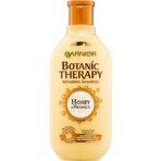 Garnier BOTANIC THERAPY HONEY SHAMPOO 1×250 ml, Shampoo