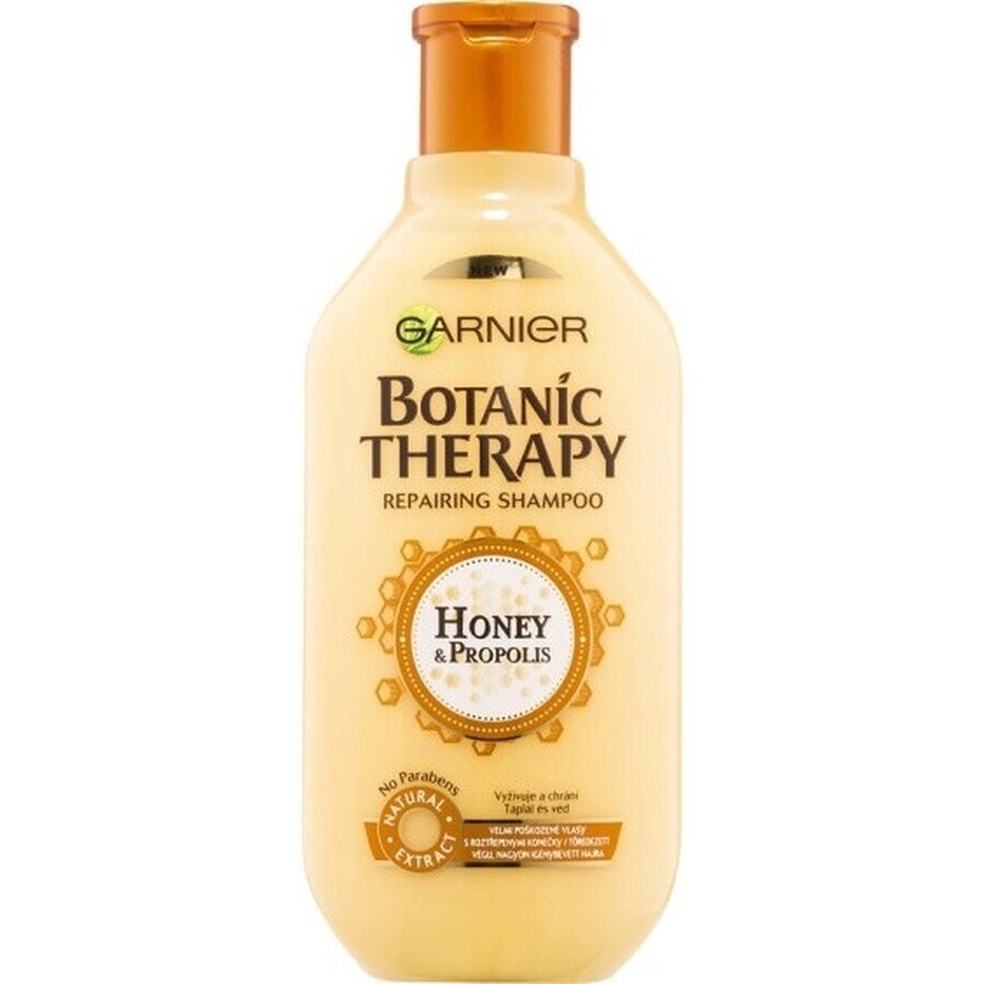 Garnier BOTANIC THERAPY HONEY SHAMPOO 1×250 ml, Shampoo