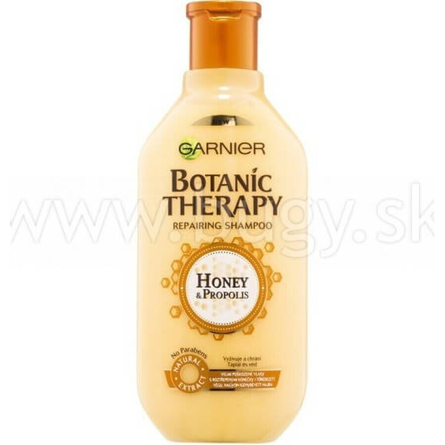 Garnier BOTANIC THERAPY HONEY SHAMPOO 1×250 ml, Shampoo