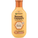 Garnier BOTANIC THERAPY HONEY SHAMPOO 1×250 ml, Shampoo