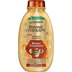 Garnier BOTANIC THERAPY HONEY SHAMPOO 1×250 ml, Shampoo