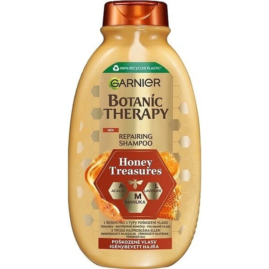 Garnier BOTANIC THERAPY HONEY SHAMPOO 1×250 ml, Shampoo